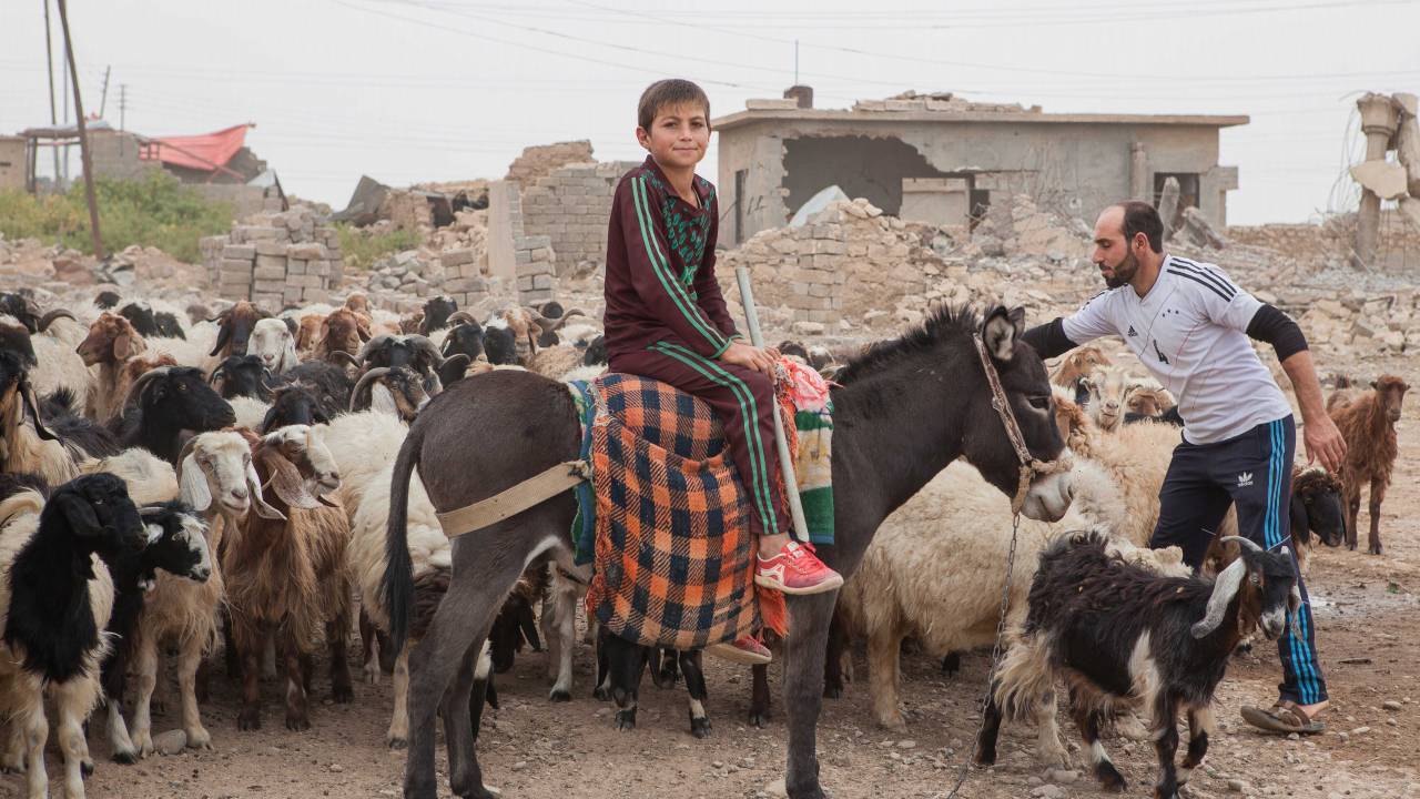 Landwirtschaft und Klimawandel im Irak
