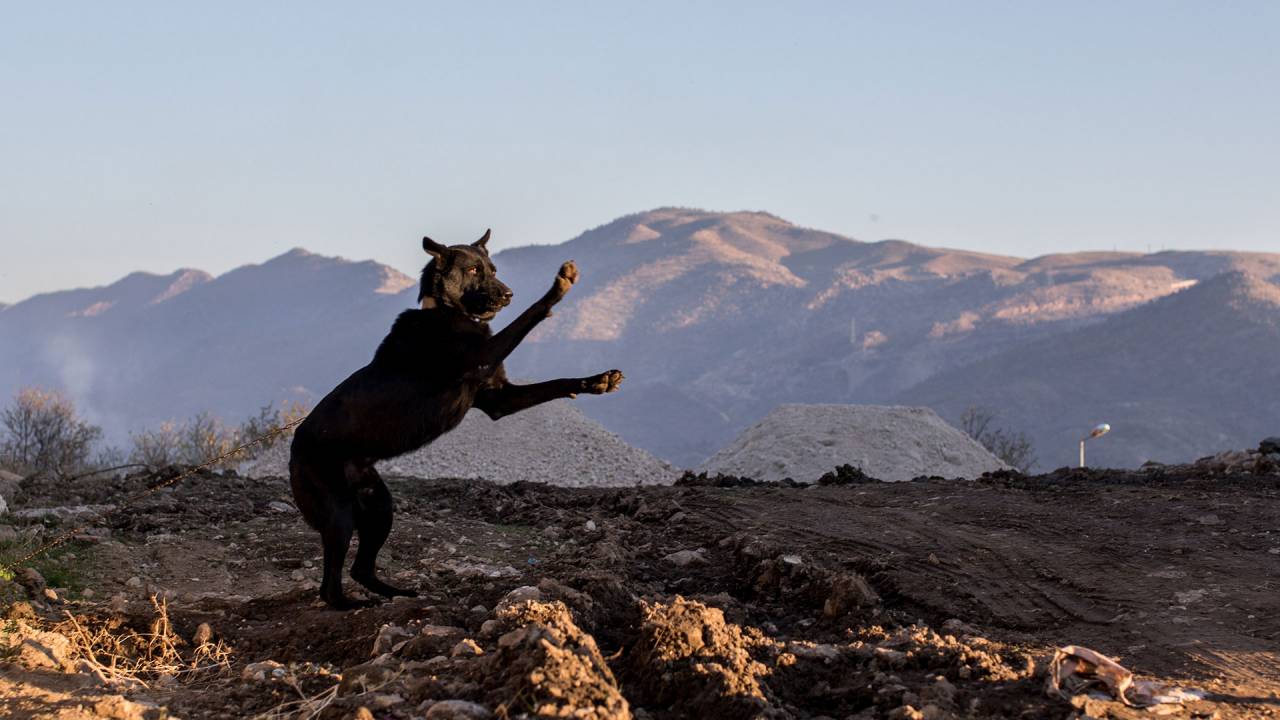 Türkei versus PKK im Nordirak