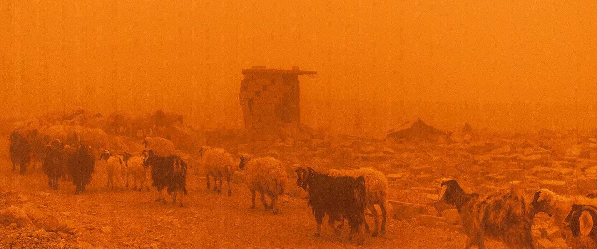 Landwirtschaft und Klimawandel im Irak